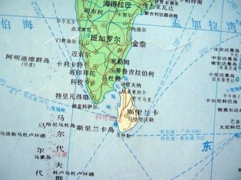 解读服务业的革新之光：斯迪维服务热线